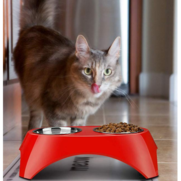 Tray amovible bols de chien et de chat