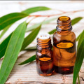 Therapeutic Grade Eucalyptus Globulus Essential Oil