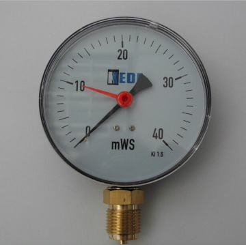 double pointer liquid filled wise pressure gauge 50mm