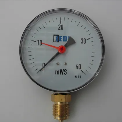 double pointer liquid filled wise pressure gauge 50mm