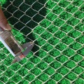 PVC Vegetal Galvanized Vegethable Chain Link Fence