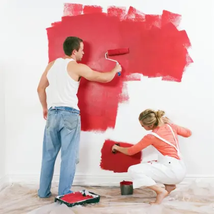 4" Professional Residential Home Painting Roller Kit