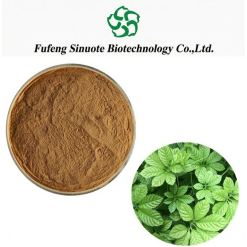 Gynostemma Pentaphylla Jiaogulan Extract Powder