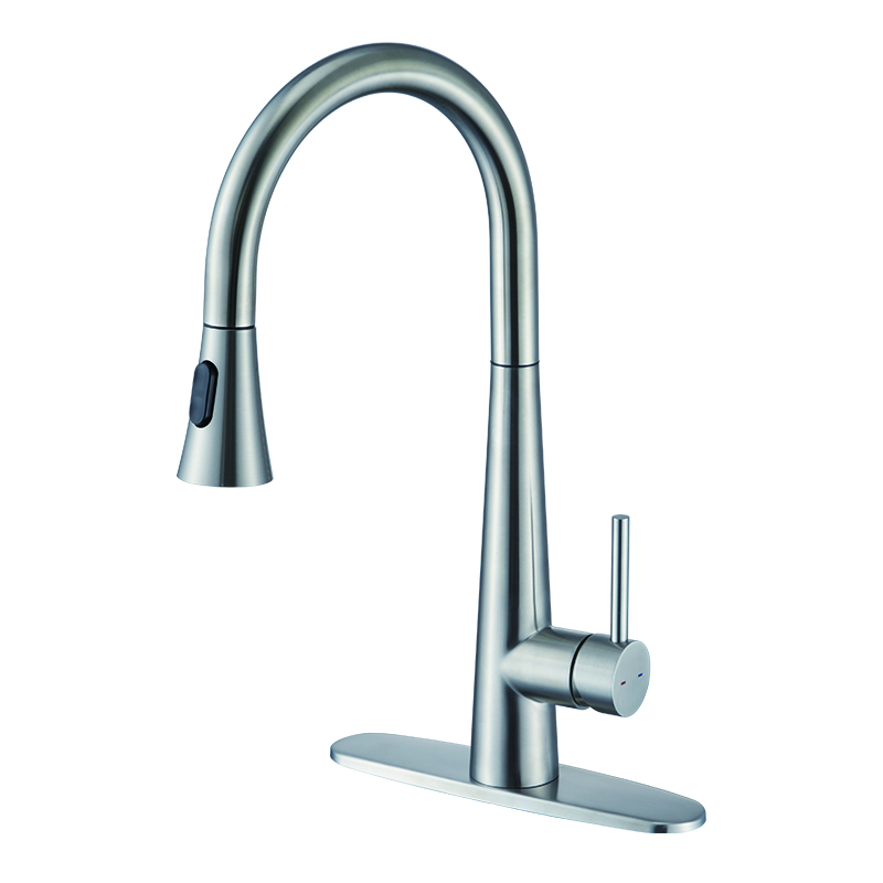 Single Lever Economic Kitchen Faucet