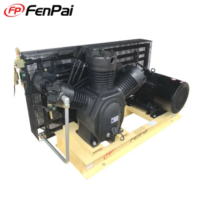 2021 High Pressure Air Compressor Piston Air-Compressors