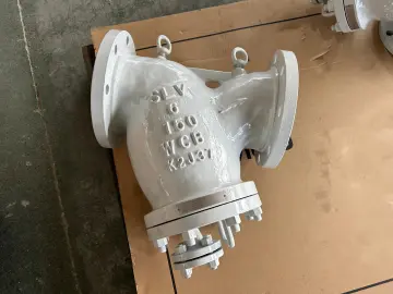 6" 150LB WCB Y-Type Strainer