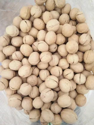New Crop Walnut Without Shell  kernels Xinjiang Origin