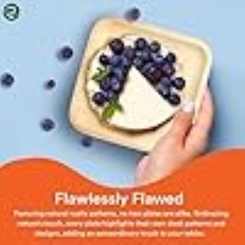100 - count 6 - inch Square Palm Leaf Plates, Disposable, Eco - Friendly, Biodegradable Bamboo Plates for Party, Cateri