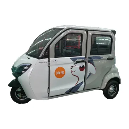 Fully Enclosed Passenger Electric Tricycle | Mini Tuk Tuk