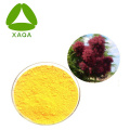 Smoke Tree Extract Powder Fisetin 98% Powder