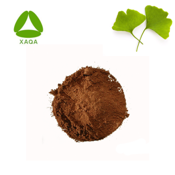 Healthcare Organic Ginkgo Biloba Leaf Extract Powder 10:1