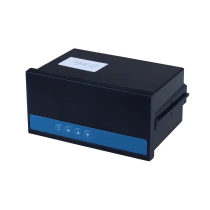 LF1060 Industrial Digital Display Controller