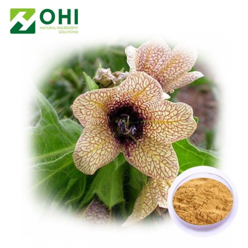 Henbane-Extrakt Scopolaminhydrobromid-Trihydrat