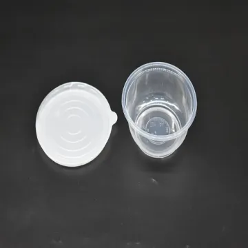 Plastic Food Box Small