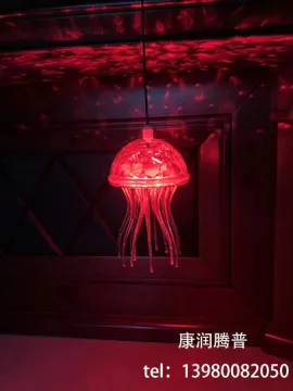 Customized Acrylic Jellyfish Lights