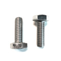 316 Stainless steel bolt