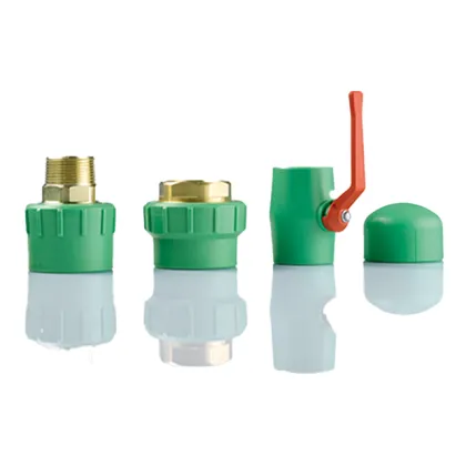 POLOLERO Imported Series green