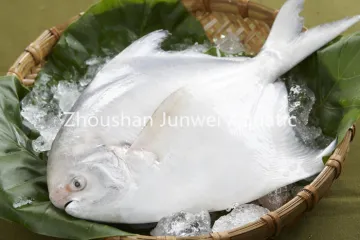 fresh frozen silver pomfret