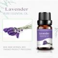 100% pure natural sleeping lavender essential oil