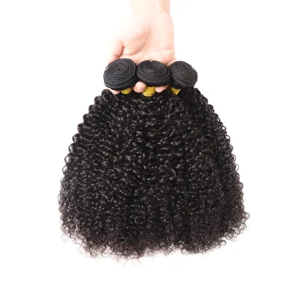 curly virgin burmese curly remy human hair bundles jerry curly mongolian kinky curly hair jerry curl human hair for women