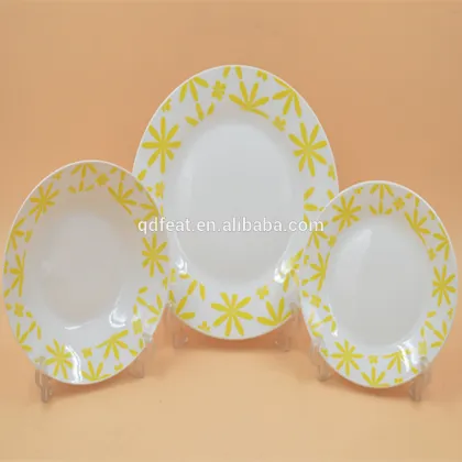 ceramic porcelain dinner dish