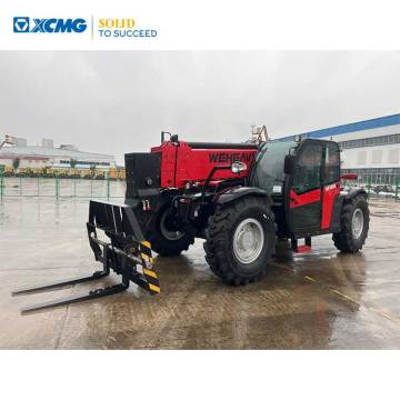 XCMG WF4014 14m Used Telescopic Boom Handler Cheap Price
