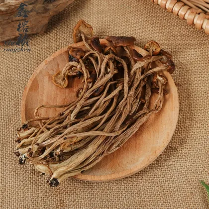 Air-Dried Tea Tree Mushrooms - Natural Edible Dried Shiitake Mushrooms