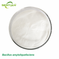 Bacillus amyloliquefaciens Biological Fungicide Supplier