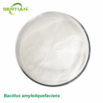 Bacillus amyloliquefaciens Biological Fungicide Supplier