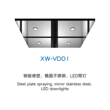 Потолочный лифт серии XW-VDO1