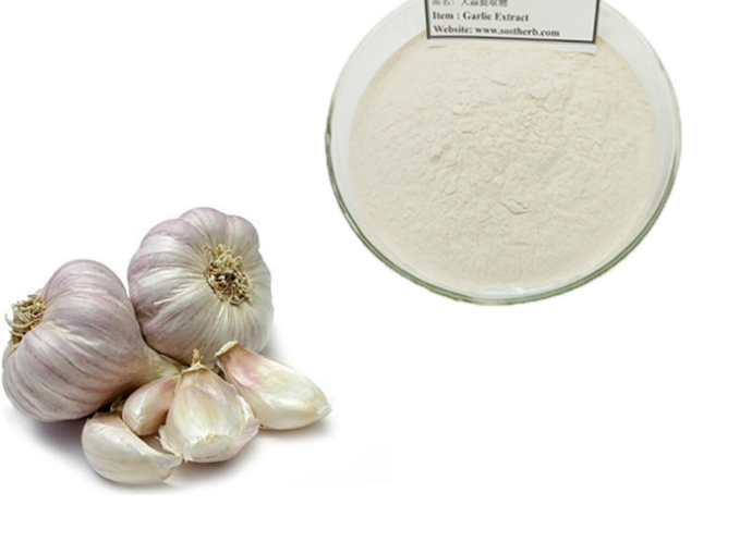 Garlic Allicin Png