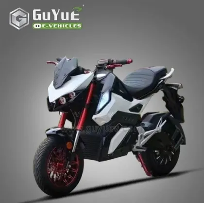 3000W Sport ELectric Motorcycle