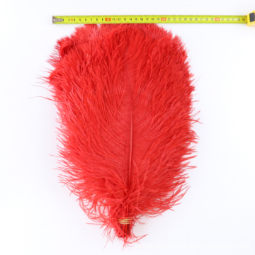 Turkey Feather Trims, Fleece Feathers, Lace, Clothing Accessories & Feather Crafts: A Comprehensive Guide for Manufacturers