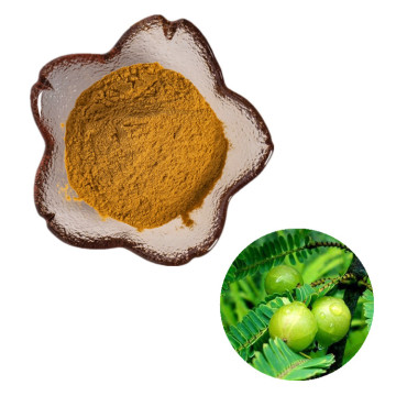 factory supply high phyllanthus emblica extract powder