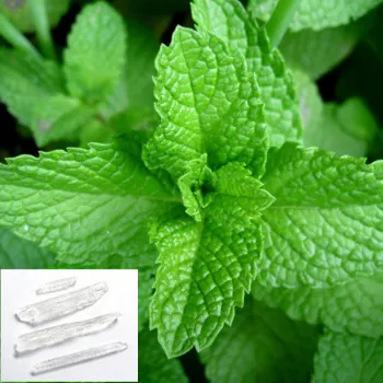 natural menthol crystal bold food flavor