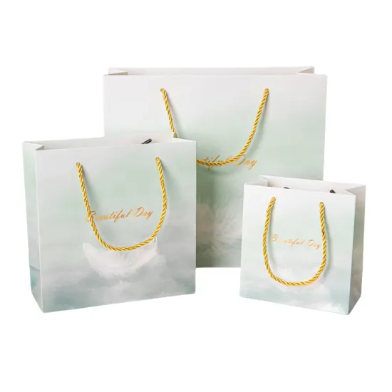 biodegradable paper bag for shopping