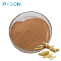 Ginger Extract powder 5% UV