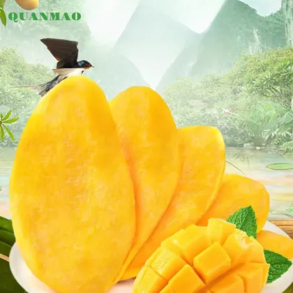 Sweet Dried Mango Slices for Snacking