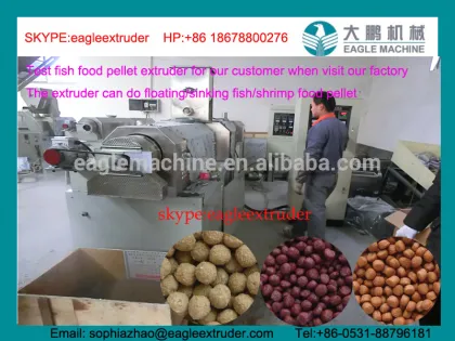 Jinan eagle 1ton/h floating fish feed processing machinery