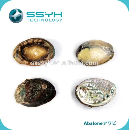 High Pressure Processing Non-thermal Shellfish Shucking Machine