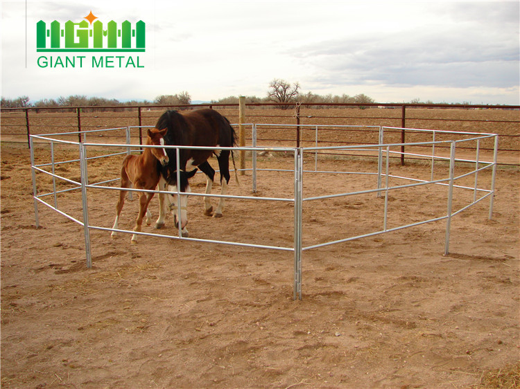 galvanized pipe horse fence panel horse fence