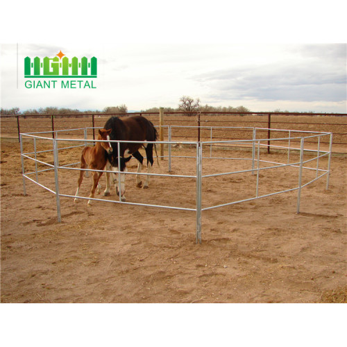 galvanized pipe horse fence panel