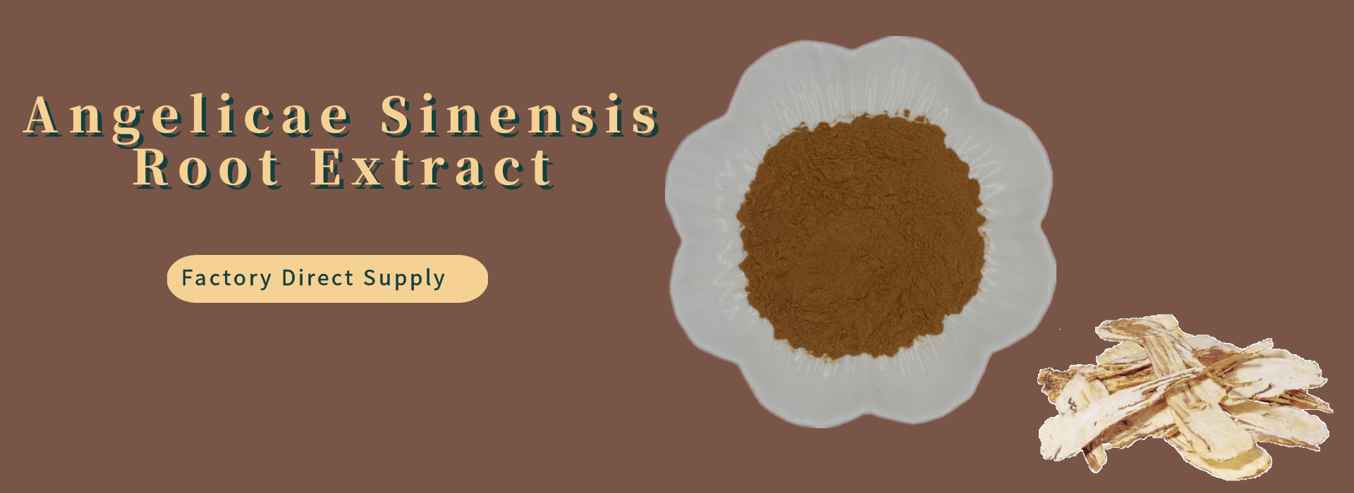 Angelicae Sinensis Root Extract