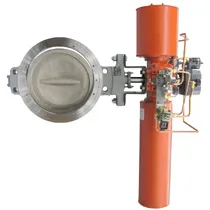 FISHER valve