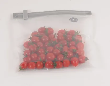 Mini Vacuum Sealer  Foodsaver Vacuum Sealer