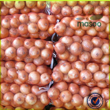 market price for fresh yellow onion