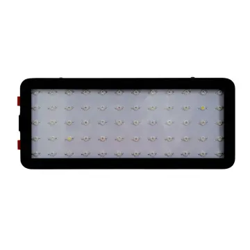 Best Full Spectrum Grow Light for Seeds Flowers