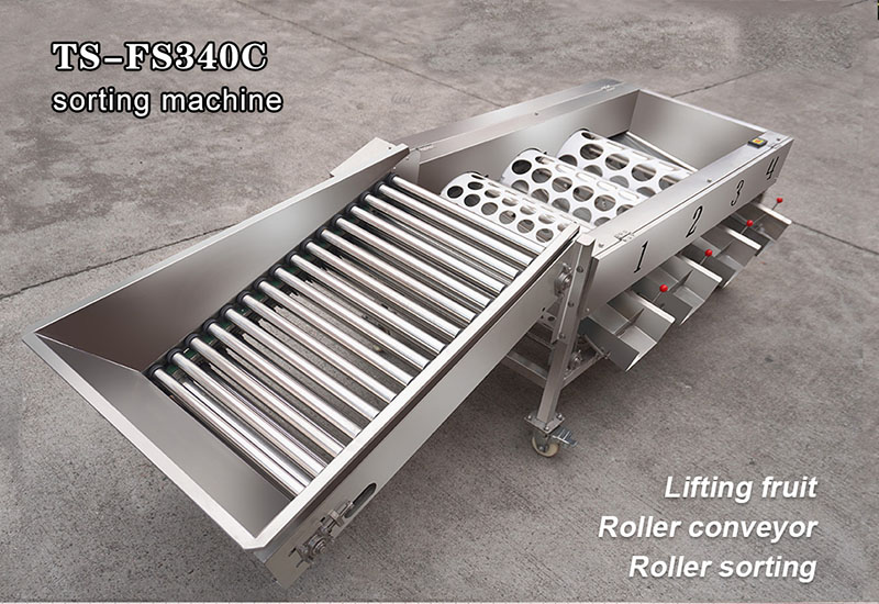 fruit grading equipment