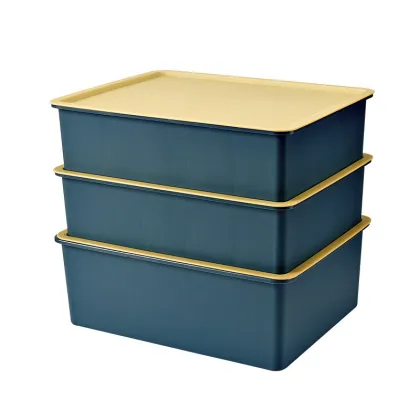 underware organizer bra storage box with 10 grid