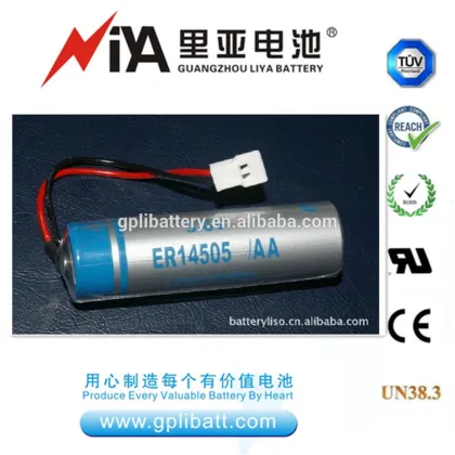 ER14505 aa battery pack 3.6 V 2400mAh primary & dry batteries heat meter battery